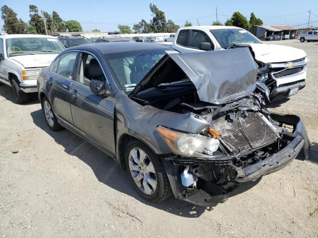 2009 Honda Accord EXL