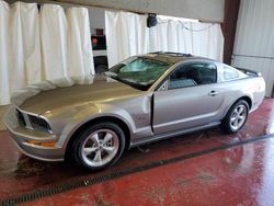 Salvage cars for sale at Angola, NY auction: 2008 Ford Mustang GT