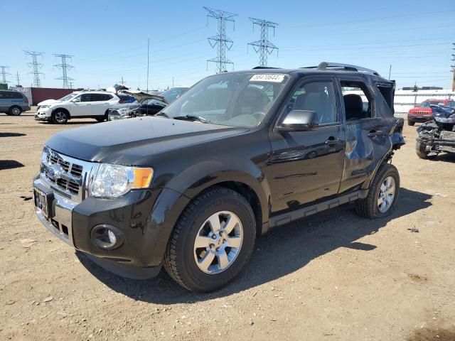 2011 Ford Escape Limited