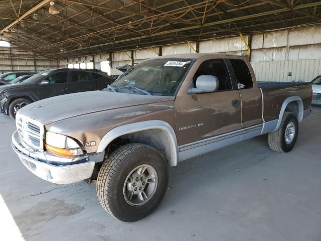 2000 Dodge Dakota