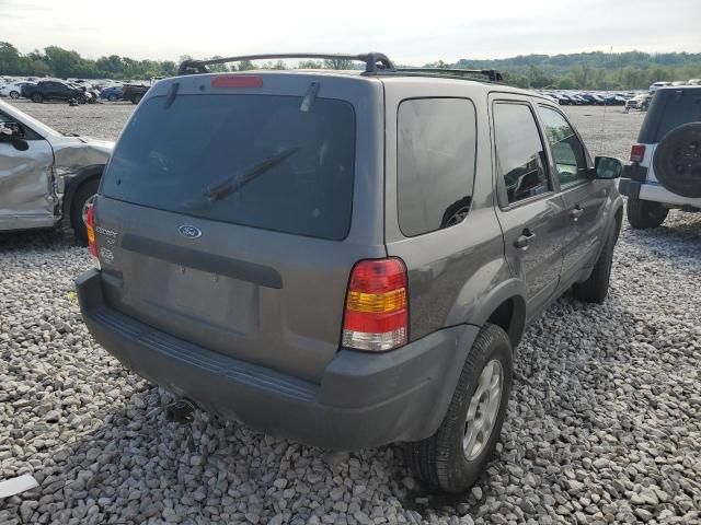 2002 Ford Escape XLT