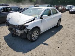 Toyota salvage cars for sale: 2009 Toyota Corolla Base