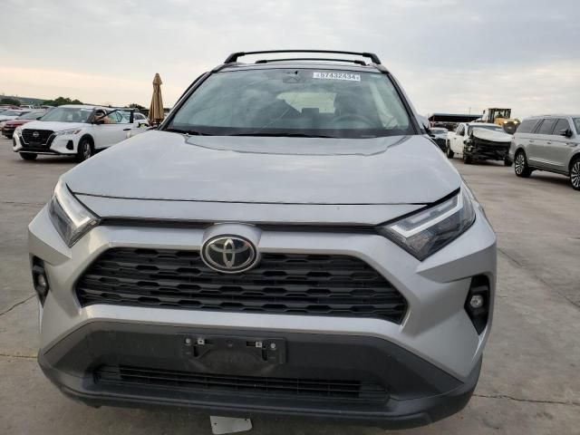 2023 Toyota Rav4 XLE Premium