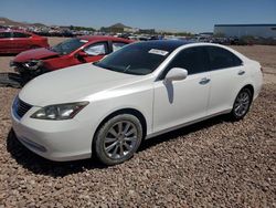 Salvage cars for sale at Phoenix, AZ auction: 2007 Lexus ES 350