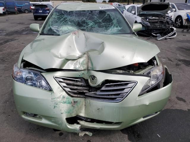 2009 Toyota Camry Hybrid