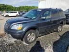 2005 Honda Pilot EXL