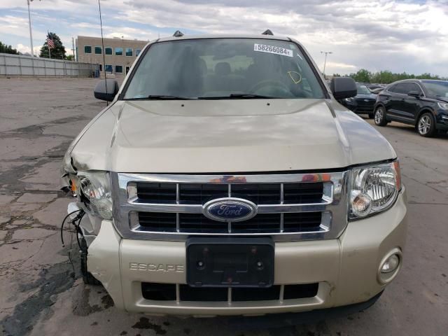 2010 Ford Escape XLT