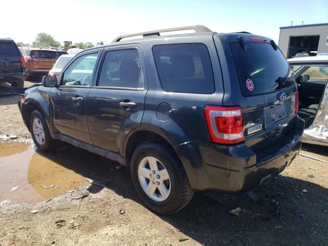 2010 Ford Escape Hybrid