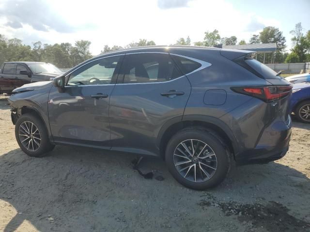 2024 Lexus NX 350H Base