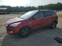 Salvage SUVs for sale at auction: 2013 Ford Escape SEL