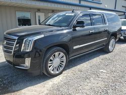 Hail Damaged Cars for sale at auction: 2020 Cadillac Escalade ESV Platinum