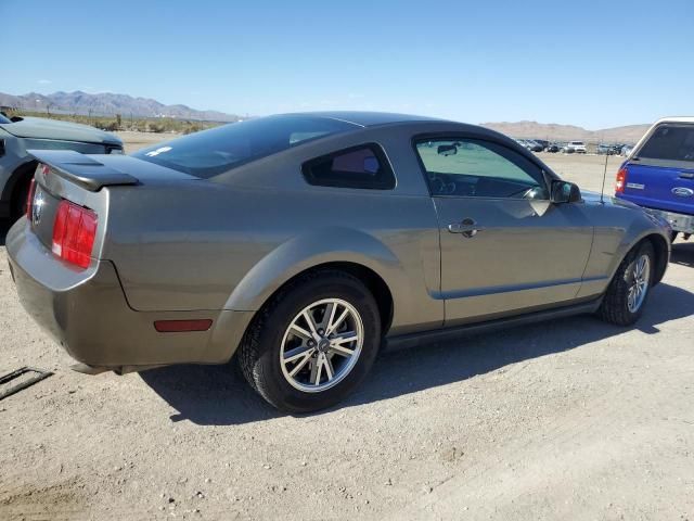 2005 Ford Mustang