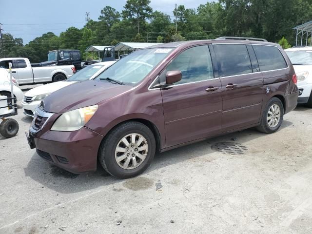 2010 Honda Odyssey EXL