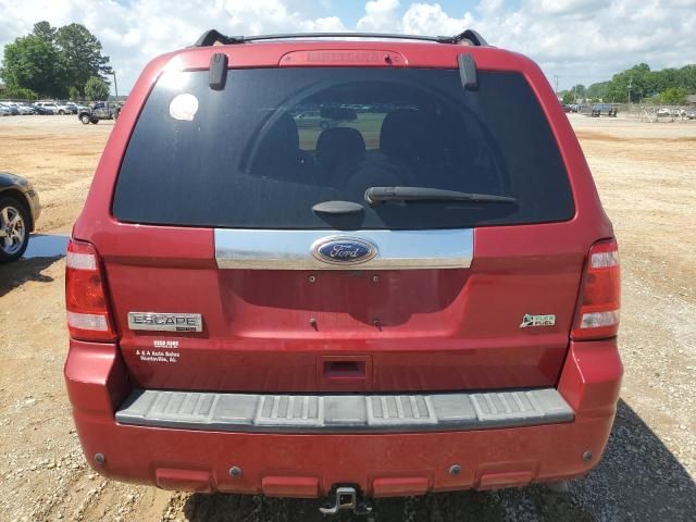 2011 Ford Escape Limited