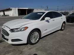 Ford Vehiculos salvage en venta: 2014 Ford Fusion SE Hybrid