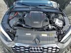 2024 Audi S5 Premium Plus