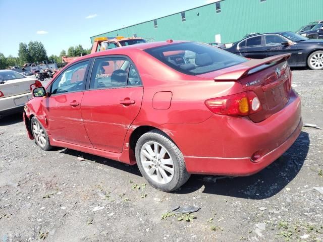 2010 Toyota Corolla Base