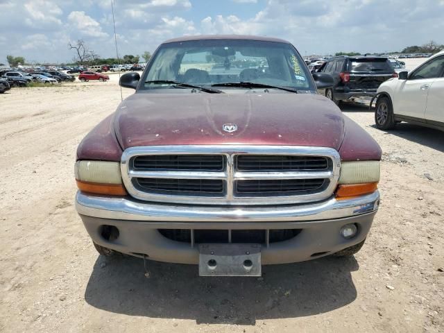 2001 Dodge Dakota Quattro