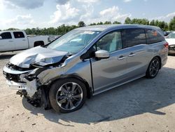 Salvage cars for sale at Lumberton, NC auction: 2024 Honda Odyssey Elite