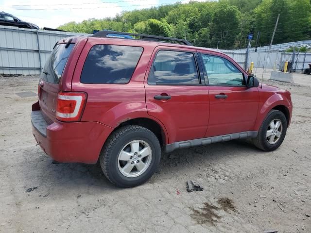 2009 Ford Escape XLT