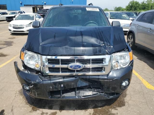 2010 Ford Escape XLT