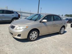 Salvage cars for sale at Lumberton, NC auction: 2009 Toyota Corolla Base