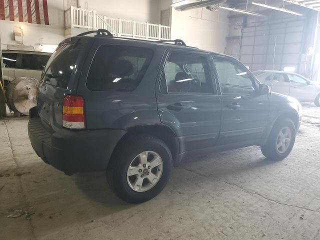 2005 Ford Escape XLT