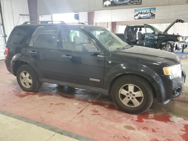 2008 Ford Escape XLT