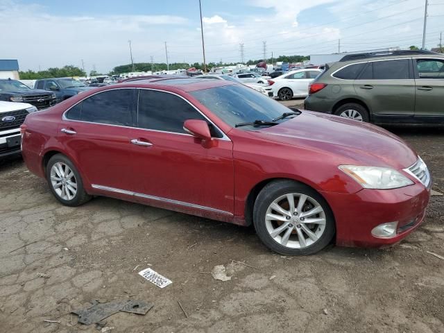 2010 Lexus ES 350