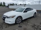 2011 Honda Accord EXL