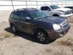 2006 Hyundai Santa FE GLS