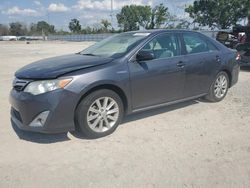 Salvage cars for sale at Riverview, FL auction: 2013 Toyota Camry Hybrid