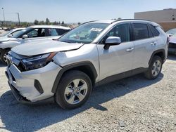 Toyota rav4 Vehiculos salvage en venta: 2024 Toyota Rav4 XLE