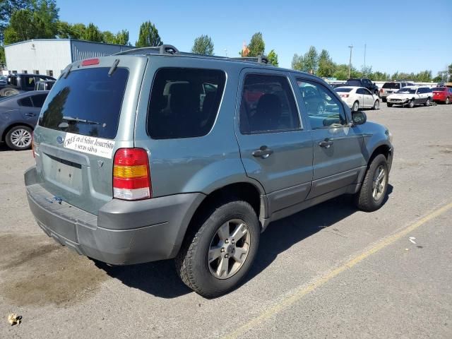 2006 Ford Escape XLT