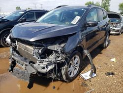 Salvage cars for sale at Elgin, IL auction: 2018 Ford Escape SE