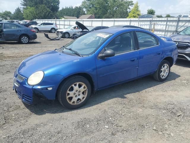 2004 Dodge Neon SXT