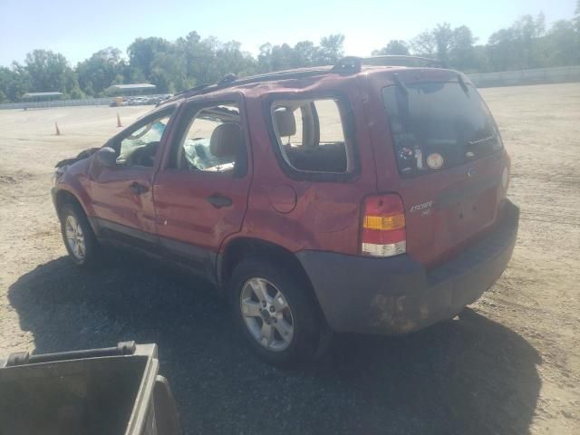 2007 Ford Escape XLT