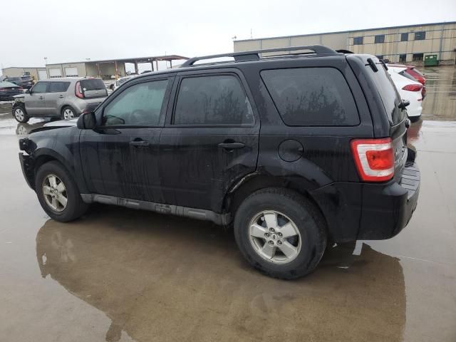 2010 Ford Escape XLS