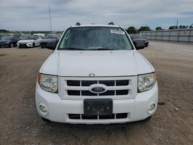 2010 Ford Escape Hybrid