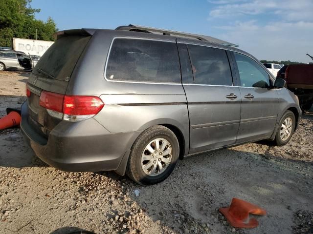 2010 Honda Odyssey EXL