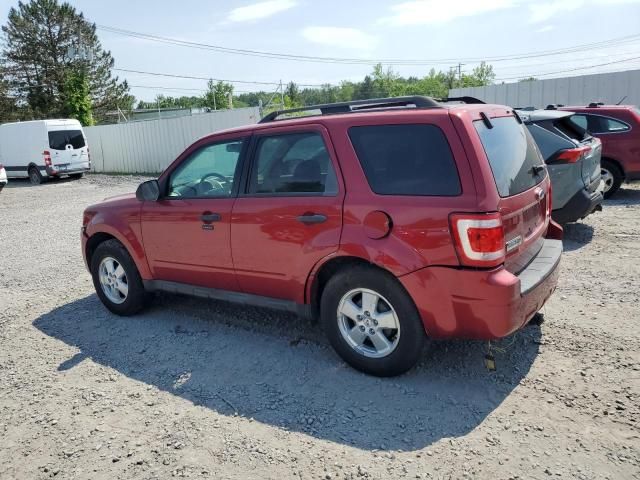 2009 Ford Escape XLT