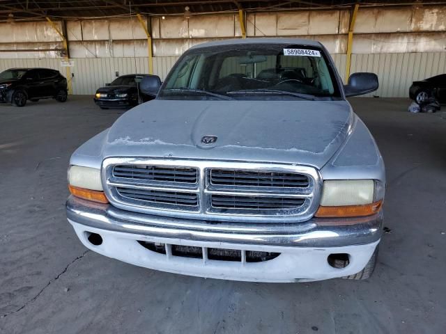 2001 Dodge Dakota Quattro