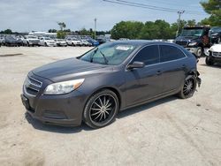 2013 Chevrolet Malibu 1LT en venta en Lexington, KY