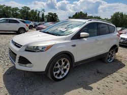 Salvage cars for sale at Baltimore, MD auction: 2013 Ford Escape Titanium