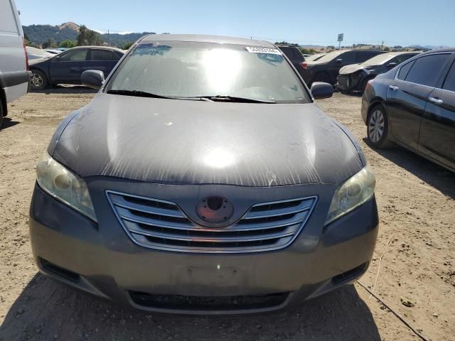 2009 Toyota Camry Hybrid