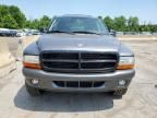 2003 Dodge Durango SLT