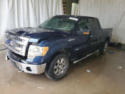 Salvage cars for sale at Central Square, NY auction: 2013 Ford F150 Supercrew