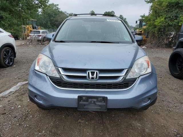 2010 Honda CR-V EXL