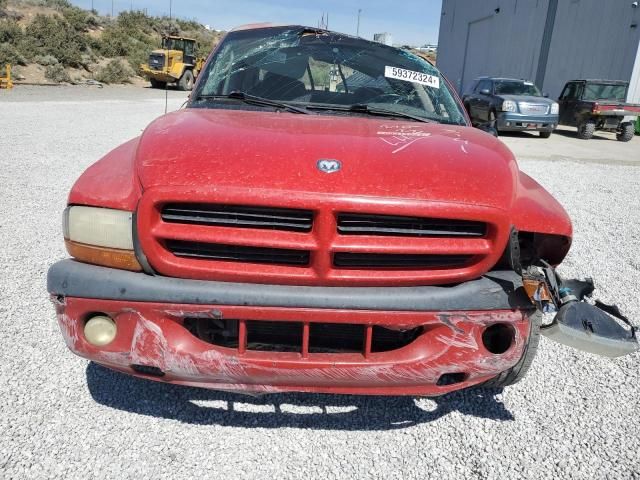 2001 Dodge Dakota Quattro