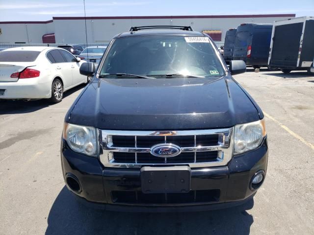 2009 Ford Escape XLT